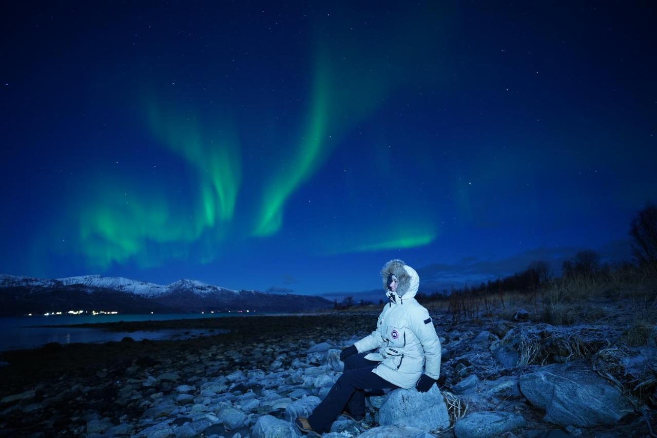 Arctic Rooms Rektor ทรอมโซ ภายนอก รูปภาพ